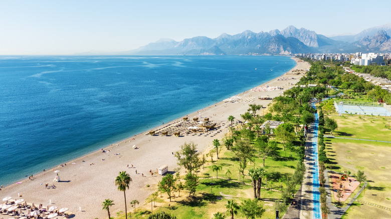 Une plage de long de milles soutenue par des arbres avec des montagnes au loin