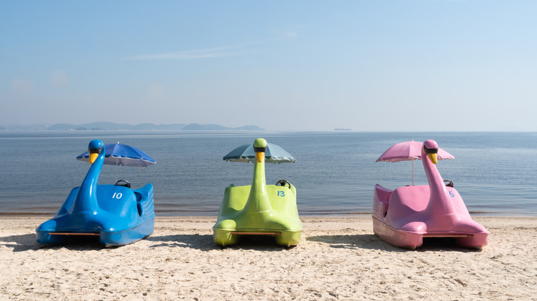 Pandes de cygne colorées sur une plage sur Ilha de Paqueta, Brésil