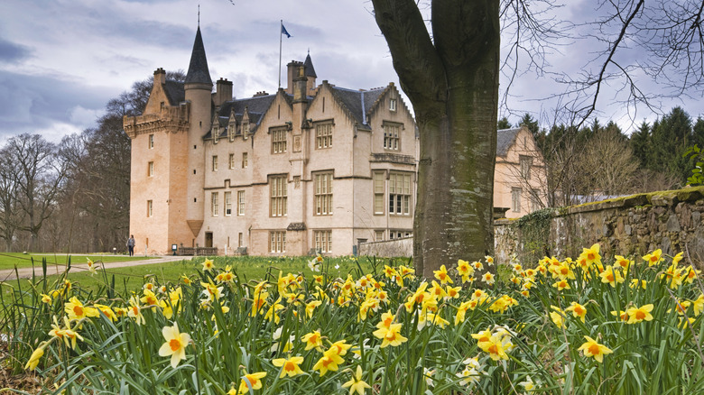 Château de Brodie avec des jonquilles en fleurs