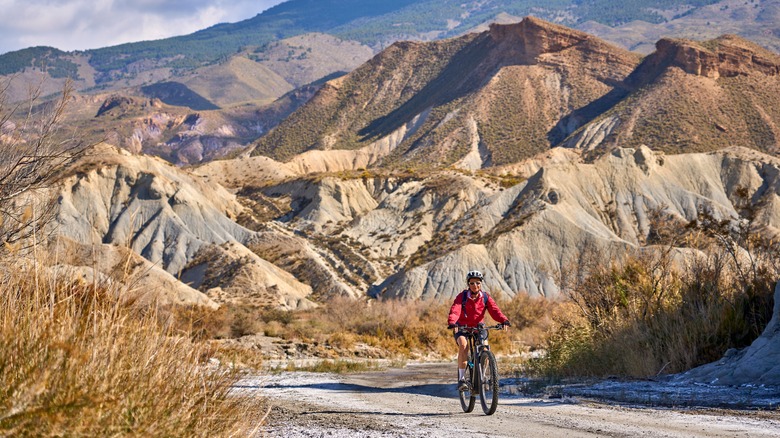 Cycliste en raquette rouge et casque à cheval dans le paysage du désert avec des montagnes et des brosses
