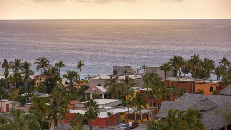 Maisons rouges et orange entourées de paumes surplombant la mer