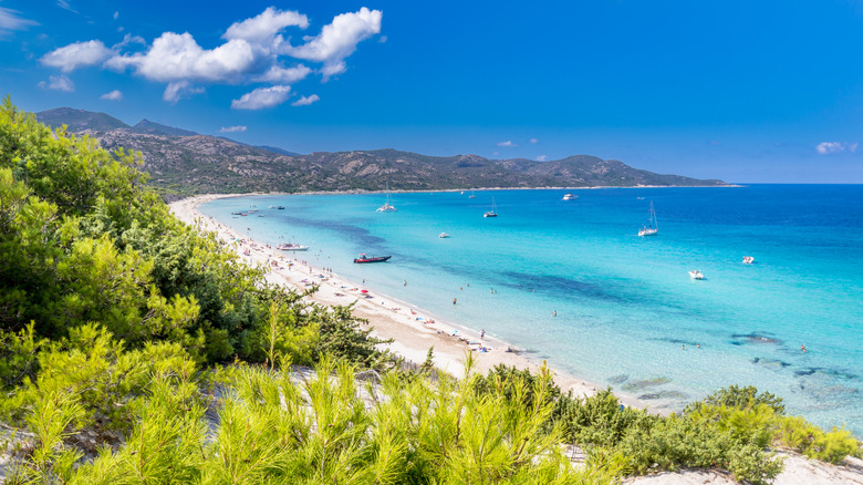 Saleccia Beach en Corse