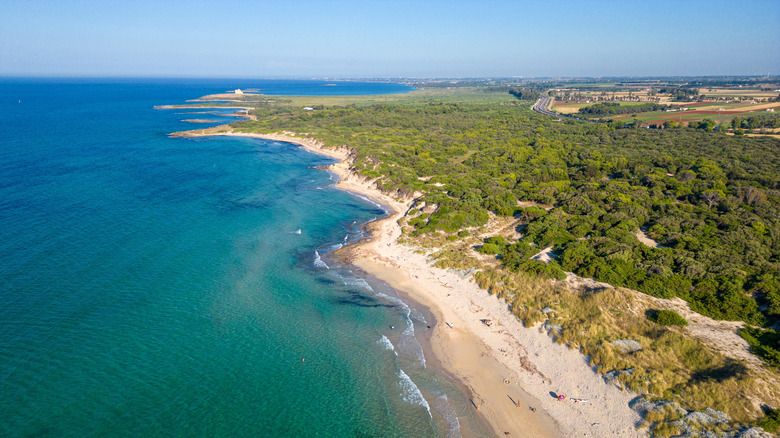 Vue aérienne des sables dorés et de la mer dans la réserve naturelle de Torre Guaceto