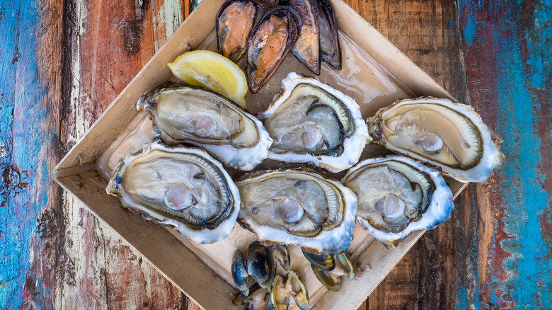 Assiette de fruits de mer avec des huîtres en leucate