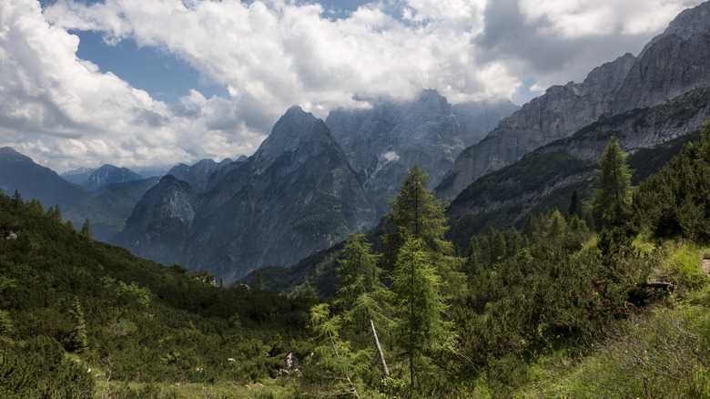 Les sommets des Alpes Julian près de Malborghetto