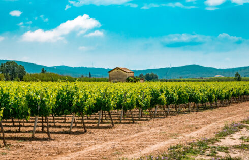 La destination sous-estimée de l'Espagne près de Barcelone possède une somptueuse nourriture espagnole et des vins de classe mondiale