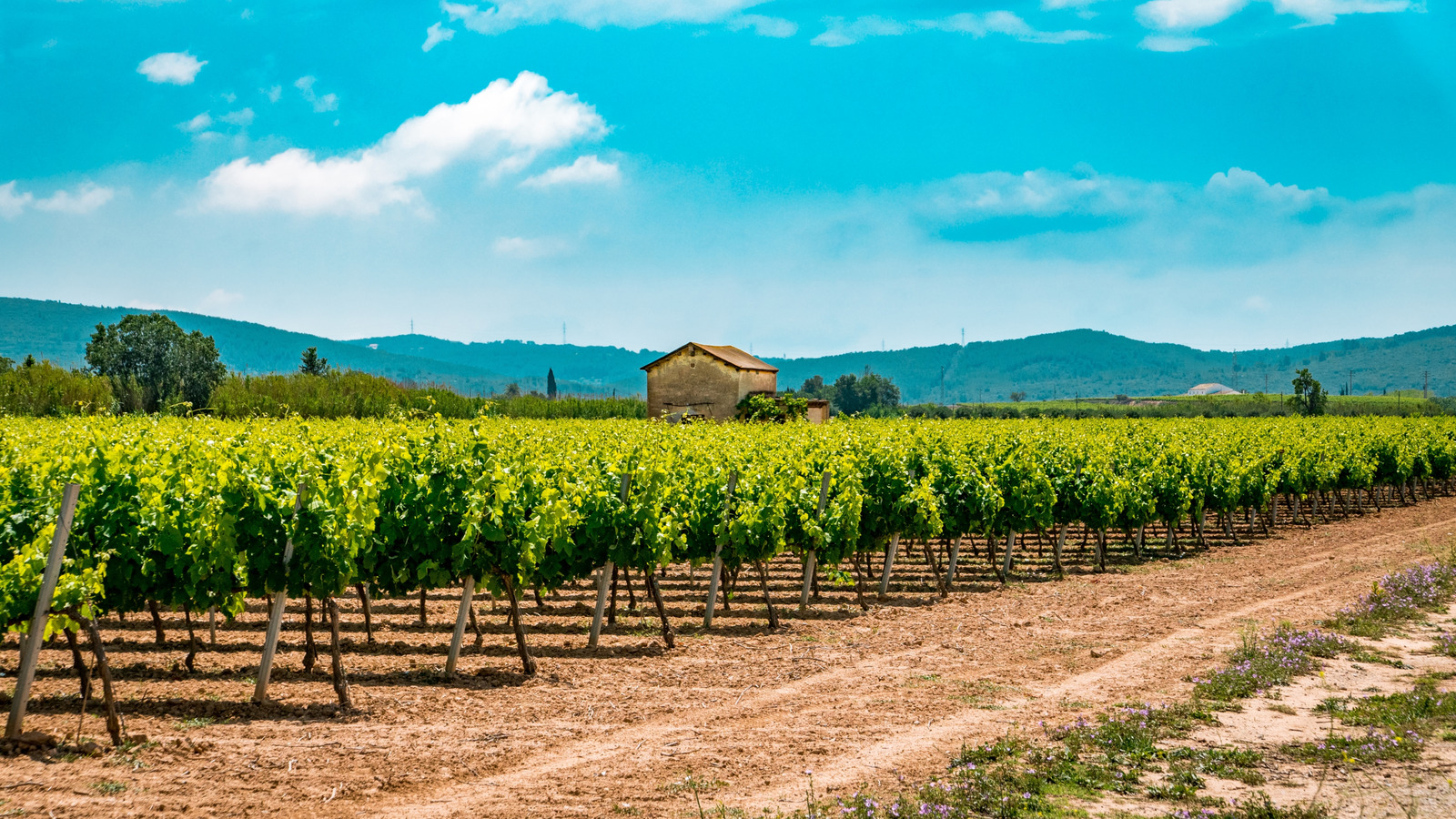 La destination sous-estimée de l'Espagne près de Barcelone possède une somptueuse nourriture espagnole et des vins de classe mondiale