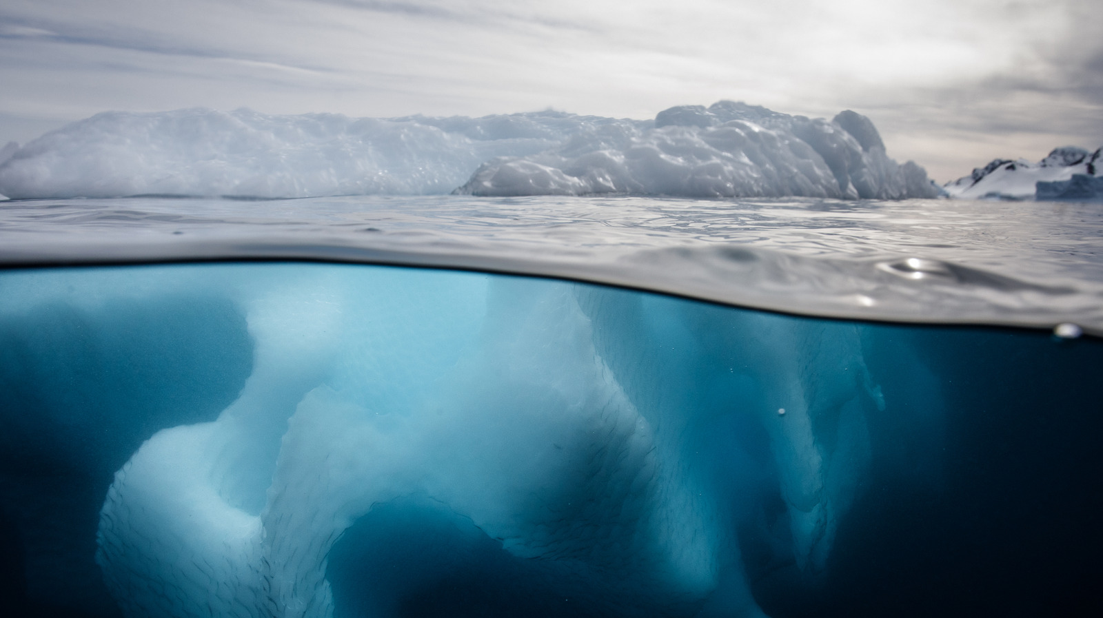 La meilleure façon de voir les eaux d'un autre monde de l'Antarctique est cette activité complémentaire de croisière inattendue