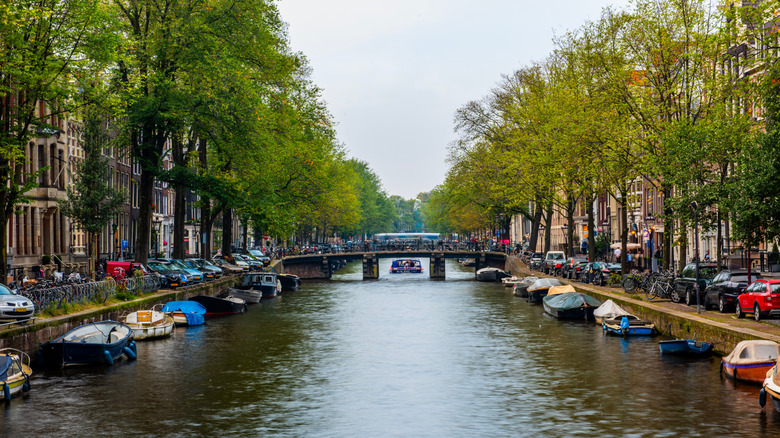 Canal Amsterdam bordé de bateaux et d'arbres