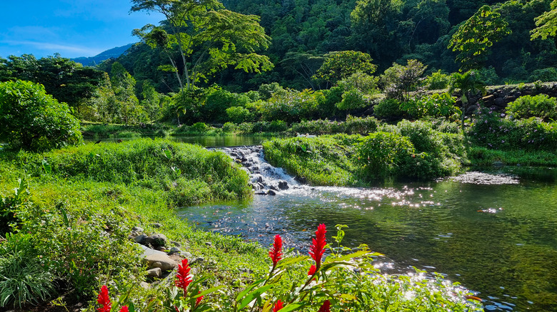 Lac près de Baquete à Chiriqui, Panama
