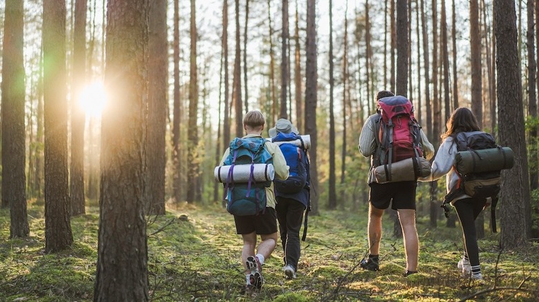 Des gens en randonnée dans le parc national d'Aukštaitija en Lituanie