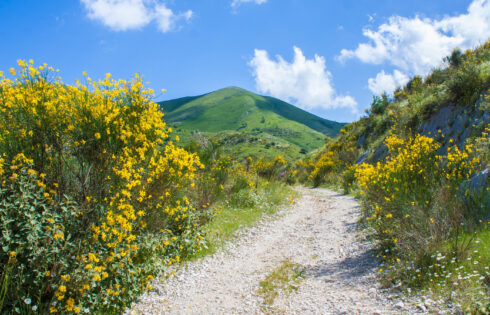 Les meilleurs pays d'Europe pour les hausses de printemps d'un autre monde et dynamiques, selon la communauté de randonnée en ligne