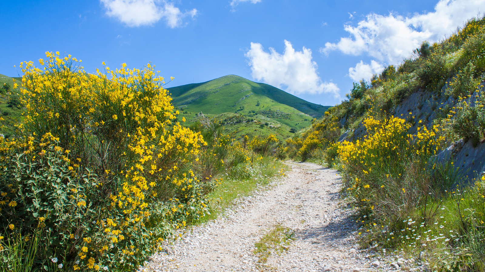 Les meilleurs pays d'Europe pour les hausses de printemps d'un autre monde et dynamiques, selon la communauté de randonnée en ligne