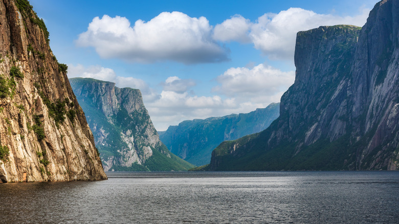 Fjord de Terre-Neuve dans le parc national de Gros Morne au Canada