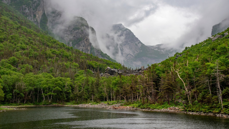 Les rives de Western Brook Pond Fjord à Terre-Neuve, Canada