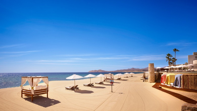 Vue de la plage de Las Ventanas bordé de chaises longues