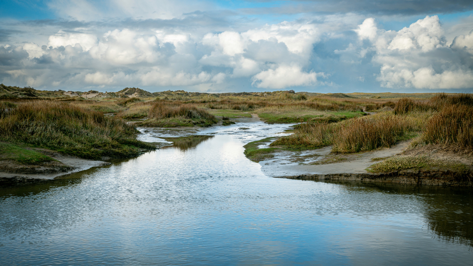 Les îles basses non conventionnelles de la côte néerlandaise offrent une escapade sablonneuse serein avec charme romantique