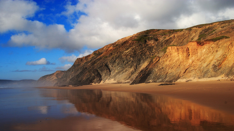 Les falaises réfléchissaient sur le sable humide d'une plage déserte à Alentejo Natural Park