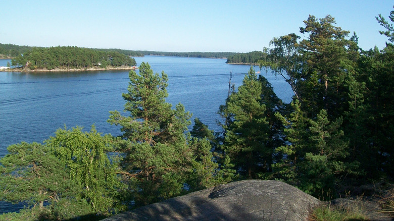 Eau et îles avec des arbres au premier plan