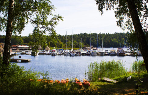 Cette île suédoise est une superbe évasion de la nature juste à l'extérieur de Stockholm avec des nages et des randonnées sereins