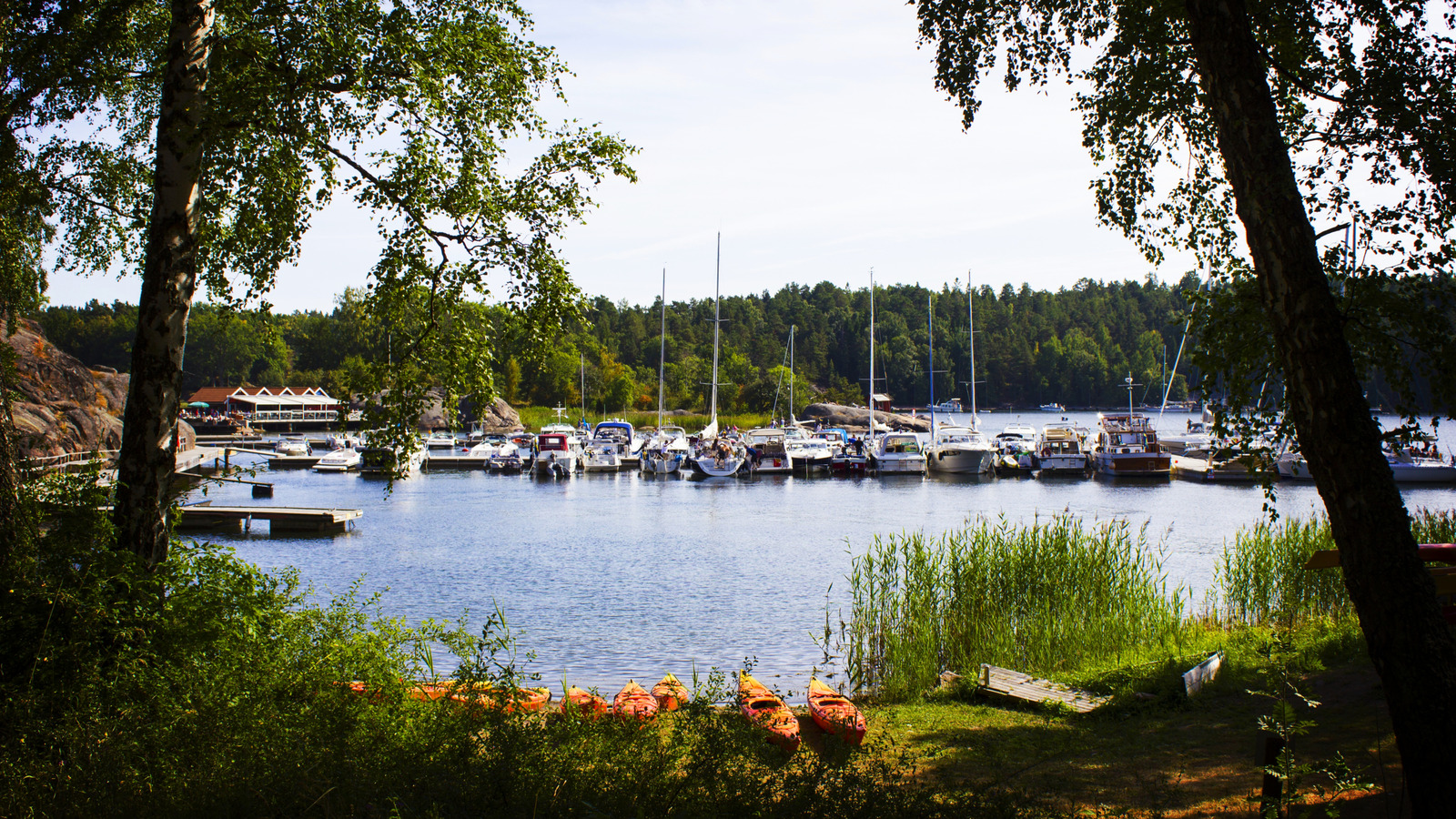 Cette île suédoise est une superbe évasion de la nature juste à l'extérieur de Stockholm avec des nages et des randonnées sereins