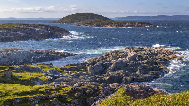 Côte herbeuse et rocheuse près de la mer, Terre-Neuve