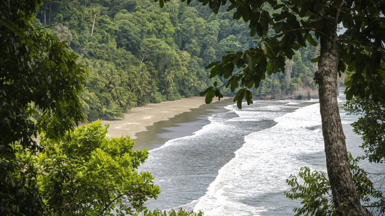 Vue d'une plage isolée entourée d'une forêt tropicale au Costa Rica