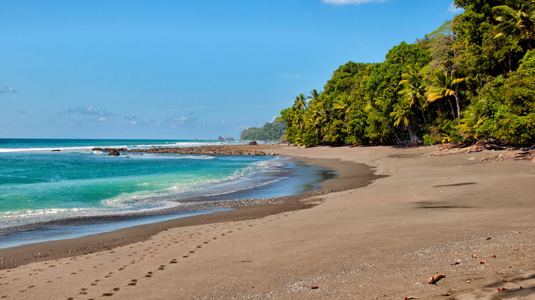 Plage éloignée du parc national de Corcovado, péninsule de l'OSA.