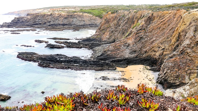 Cliffs et rivage à Cavaleiro Beach