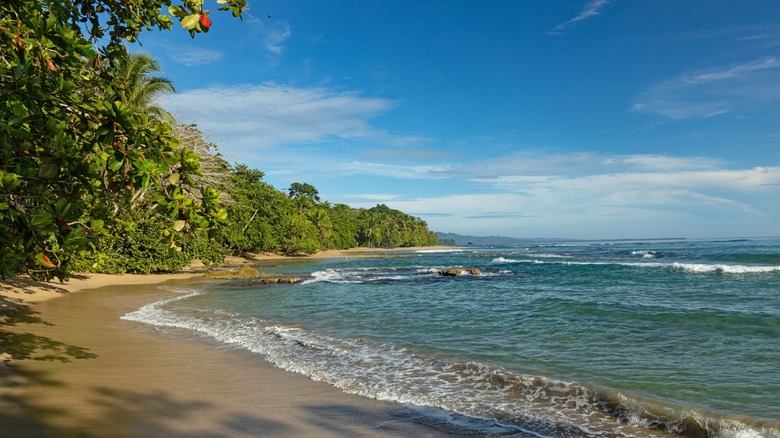 Vagues et verdure à Playa Chiquita