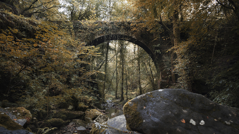 Un pont de la voûte en pierre dans une forêt à l'ancienne