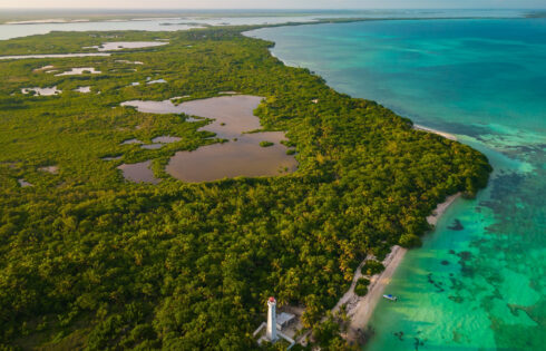 La réserve de la faune méconnue de Tulum offre des lagunes vertes claires à la plongée dans la plongée parmi la beauté tropicale