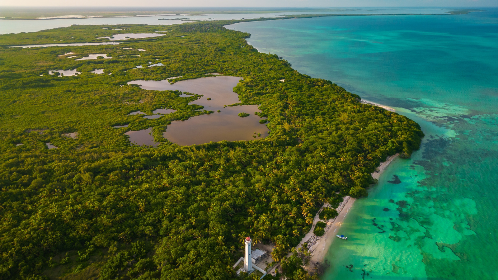 La réserve de la faune méconnue de Tulum offre des lagunes vertes claires à la plongée dans la plongée parmi la beauté tropicale