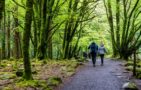 Le parc national de Killarney iconique d'Irlande a complètement interdit un article qui affecte votre café du matin