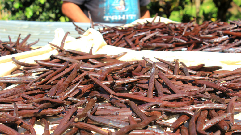 Production de vanille à Taha'a, Polynésie française