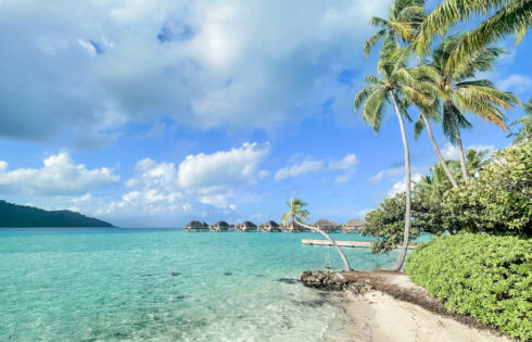 `` Vanilla Island '' de la Polynésie française est une évasion tropicale enveloppée dans des lagunes turquoise bordées de récifs