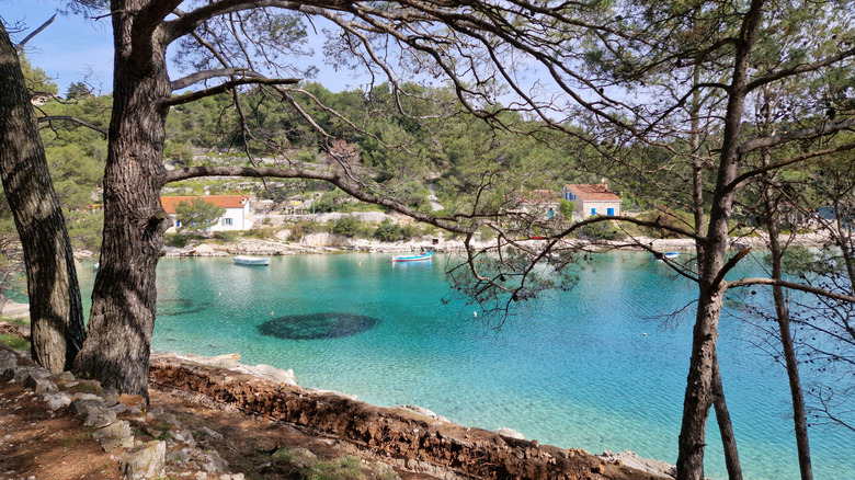 Eau turquoise le long de la côte de Lošinj, Croatie