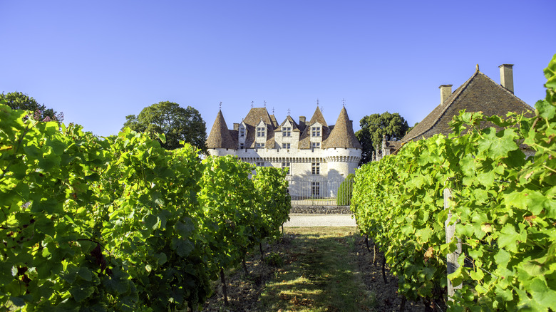 Château de Monbazillac vu à travers des vignes de raisin
