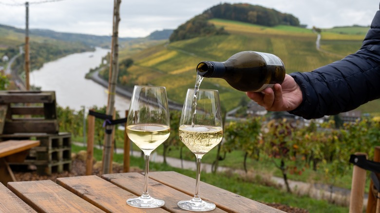 Deux verres de vin blanc versé sur une table de pique-nique avec une vue sur la rivière