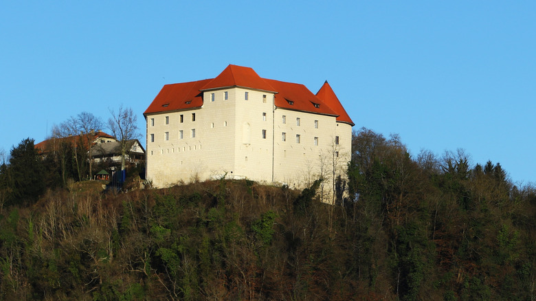 Le château de Rajhenburg en Slovénie par une journée claire
