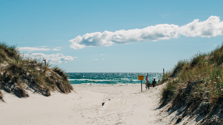 Un chemin à travers des dunes sablonneuses menant à une plage