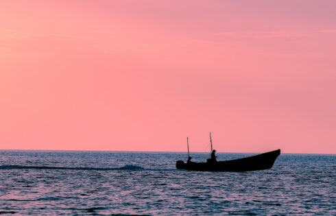 Situé le long du golfe du Mexique se trouve une ville balnéaire endormie célèbre pour les flamants et les restaurants incroyables