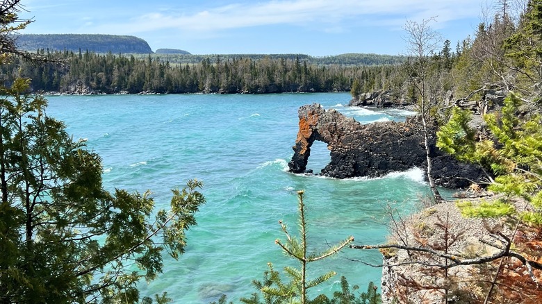 Formation rocheuse du lion de mer entourée d'arbres et d'eau