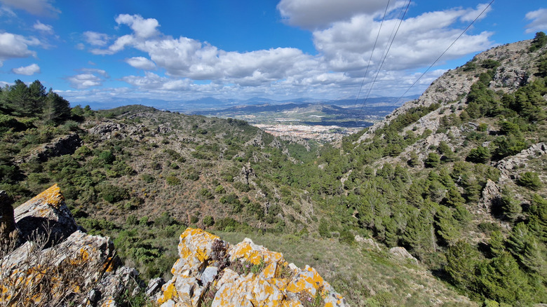Vue en regardant vers le bas dans la vallée avec des pins et des formations rocheuses près d'Alhaurín de la Torre, Espagne