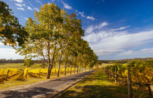 L'une des villes les plus anciennes d'Australie est une destination gastronomique au bord de la rivière mélangeant le bon vin et le charme historique