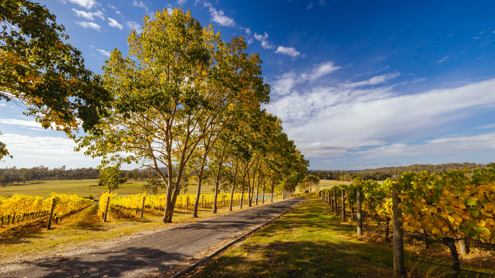 L'une des villes les plus anciennes d'Australie est une destination gastronomique au bord de la rivière mélangeant le bon vin et le charme historique