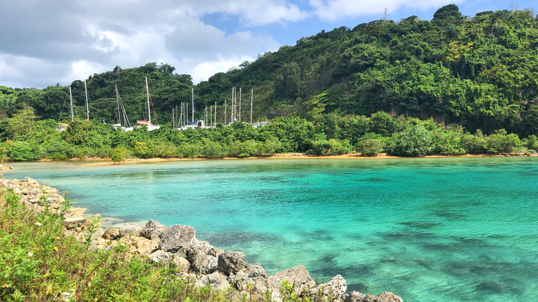 Baie cristalline dans l'une des îles Tonga