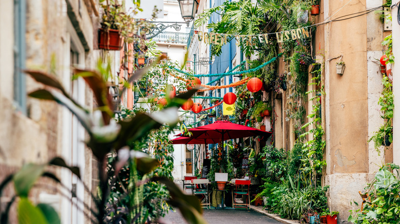 Street à Lisbonne étroite remplie de plantes et de sièges extérieurs dans un café