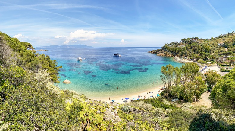 Plage de canelle