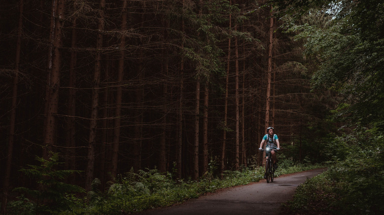 Un cycliste voyageant à travers les forêts en Hongrie le long du sentier de vélo Amazon of Europe